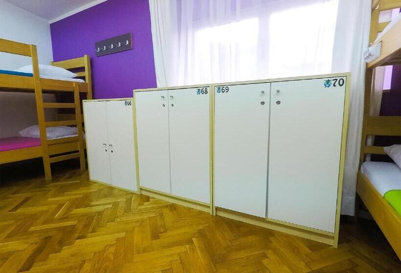 공동 객실, Whole Wide World Hostel