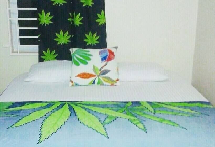 آپارتمان لوکس 1 خوابه, Hotbox Bud & Breakfast   Hostel