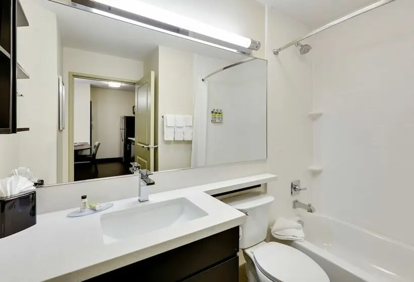 スタンダードスタジオ, Candlewood Suites Dallas Nw   Farmers Branch, An Ihg