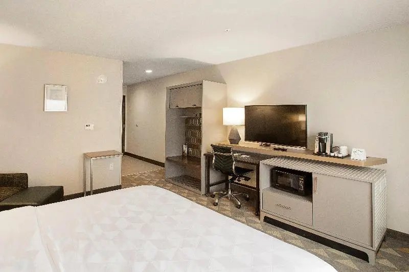 اتاق استاندارد برای معلولان, Holiday Inn & Suites Decatur Forsyth, An Ihg