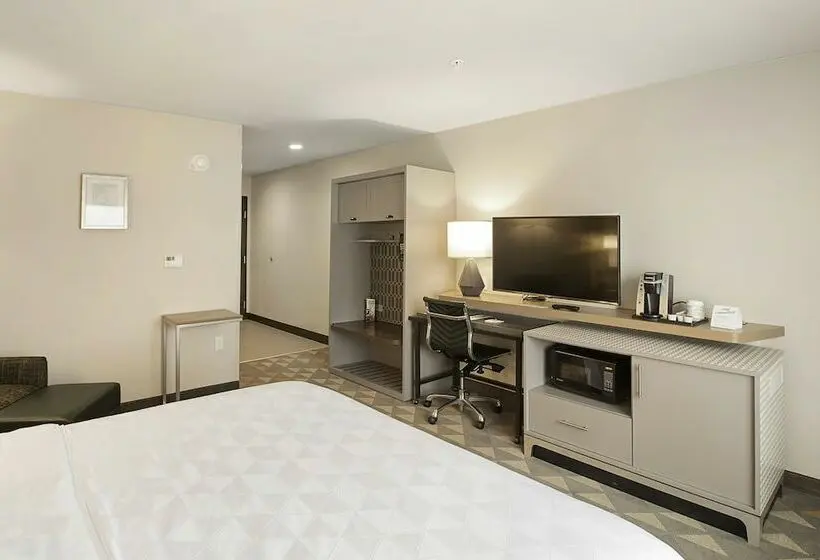 اتاق استاندارد, Holiday Inn & Suites Decatur Forsyth, An Ihg