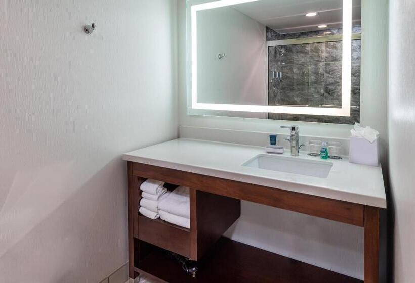 جناح إدارى سرير كينج, Four Points By Sheraton Atlanta Airport West