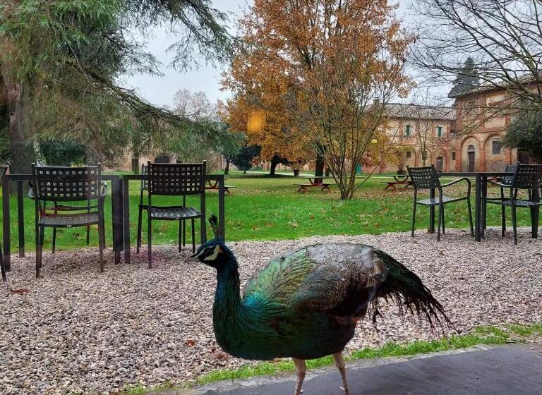 غرفة سوبيريور, Tenuta La Fratta