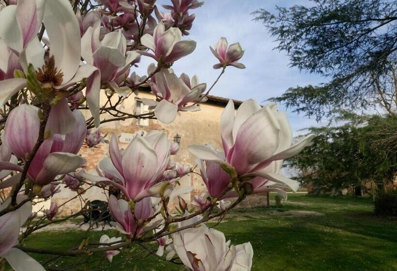 غرفة قياسية رباعية, Tenuta La Fratta