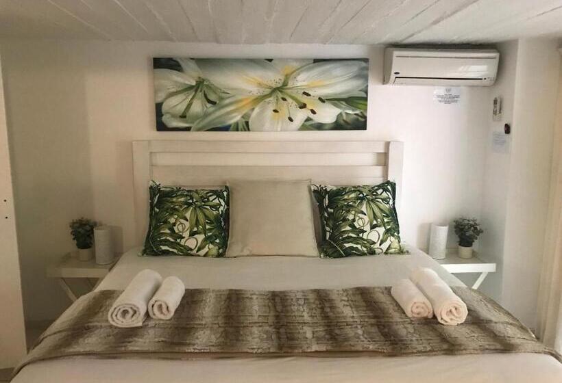 스탠다드 스튜디오 킹침대, Beach Forest Lodge