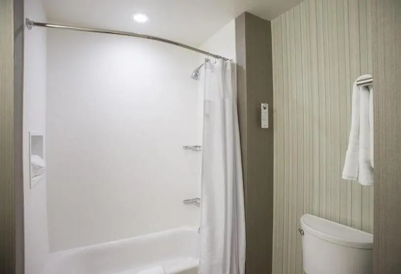 キングサイズベッドのスタンダードルーム, Courtyard By Marriott Albany Clifton Park