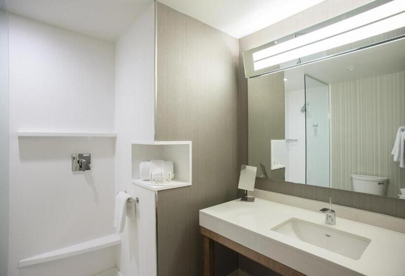 Номер Стандарт Кровать Кинг Адаптированный для Инвалидов, Courtyard By Marriott Albany Clifton Park