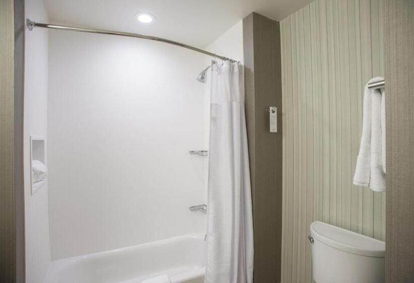 장애인을 위한 킹사이즈 침대 스탠다드 룸, Courtyard By Marriott Albany Clifton Park