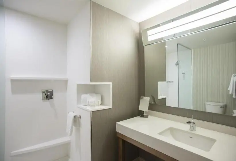 身障者適用スタンダードルーム, Courtyard By Marriott Albany Clifton Park