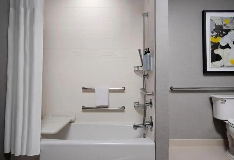スイート, Residence Inn By Marriott Dallas Downtown