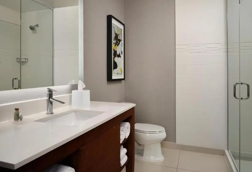 スイート, Residence Inn By Marriott Dallas Downtown