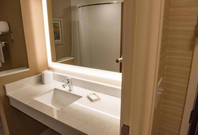 带大床的套房, Fairfield Inn & Suites By Marriott Anderson
