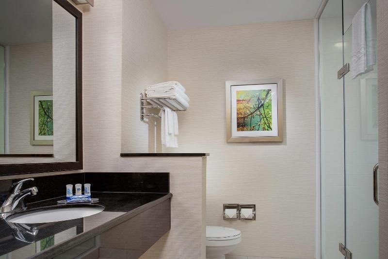 带大床的标准间, Fairfield Inn & Suites By Marriott Anderson