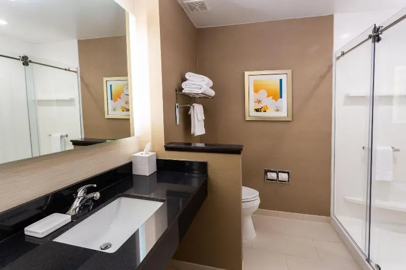 キングサイズベッドのスイートルーム, Fairfield Inn & Suites By Marriott Bay City, Texas
