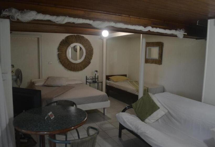 استودیو استاندارد با چشمانداز باغ, Seachange Lodge