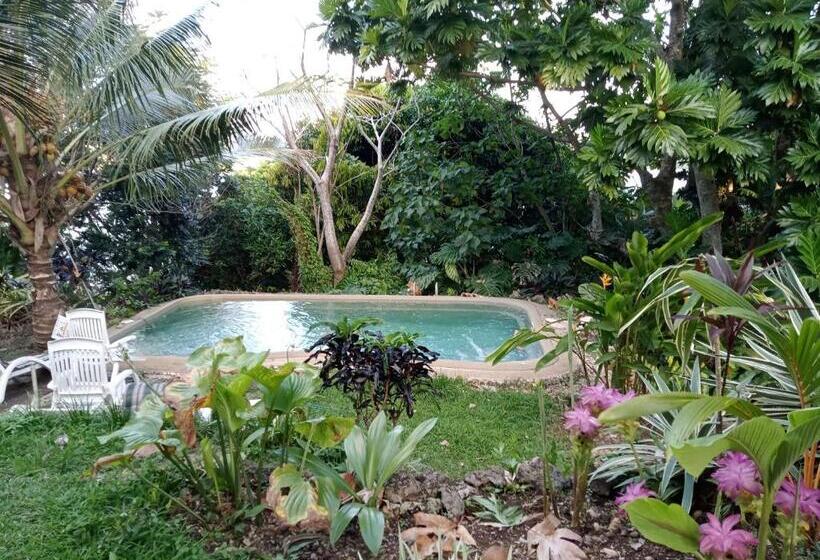 استودیو استاندارد با چشمانداز باغ, Seachange Lodge