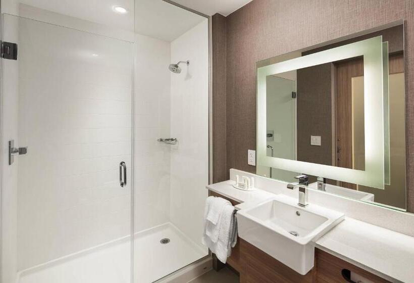 Estúdio standard Cama King, TownePlace Suites by Marriott New Orleans Downtown/Canal Street