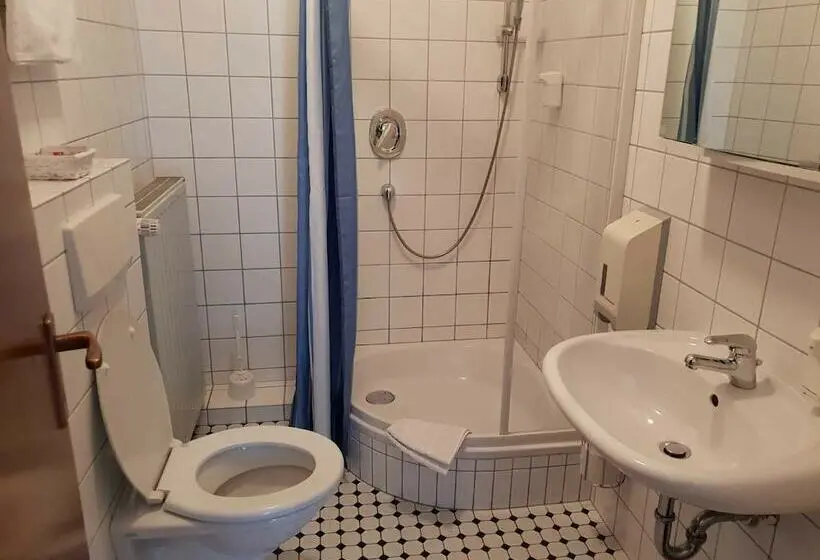 Standard Single Room, Restaurant Heidrich