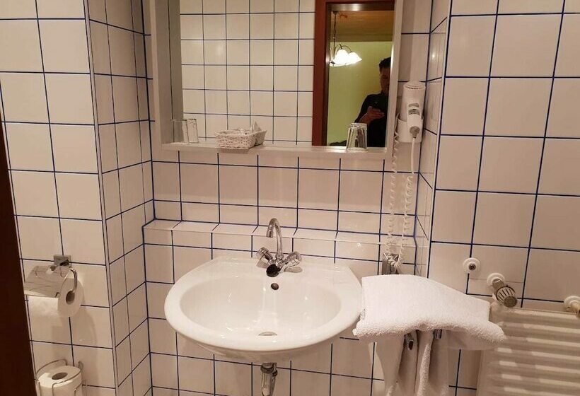 غرفة قياسية فردية, Restaurant Heidrich