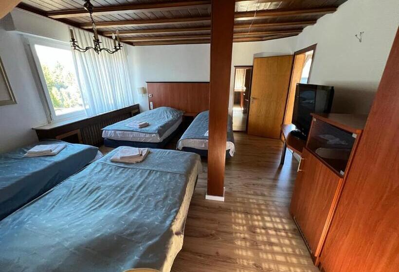 شقة غرفة واحدة, Restaurant Heidrich