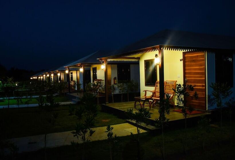 豪华房间, Dream Resort