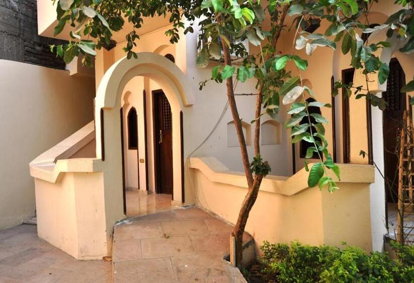 디럭스 트리플 룸, El Nakhil