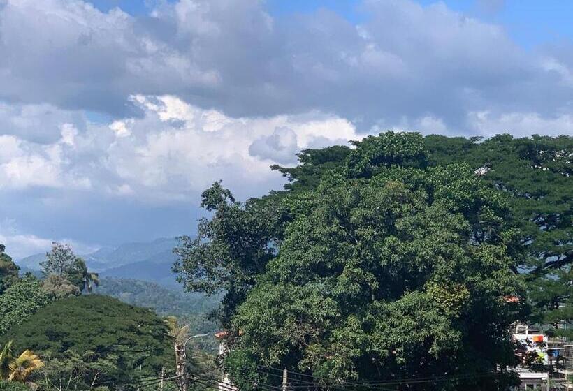 经济房, Lodge In 611