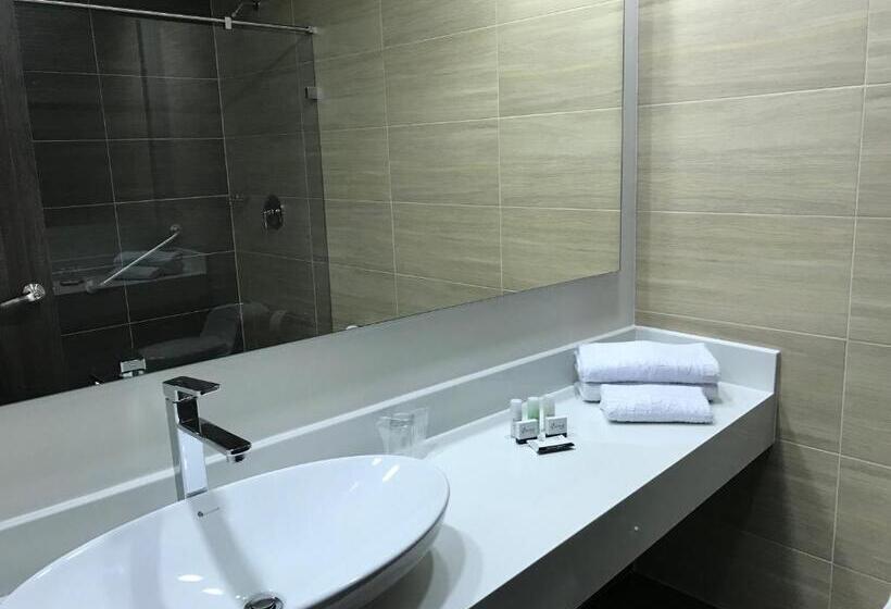 חדר סטנדרט לשלושה, Arame