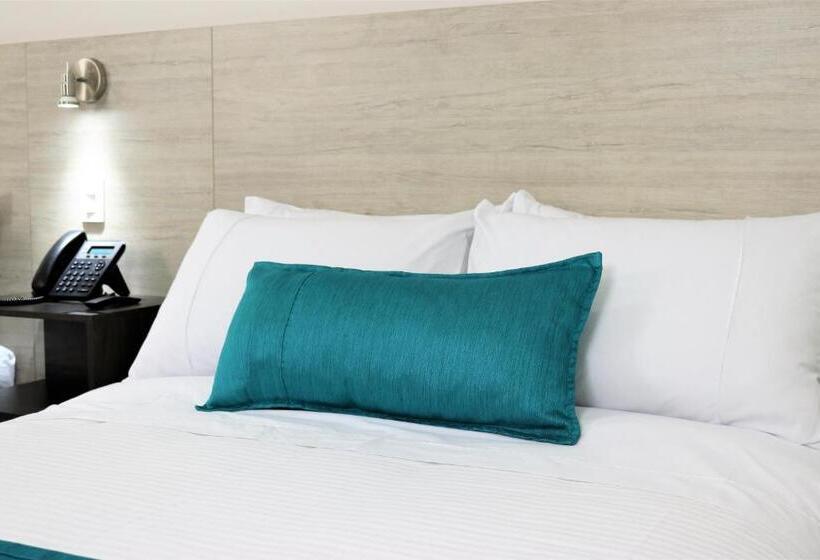 חדר סטנדרט לשלושה, Arame