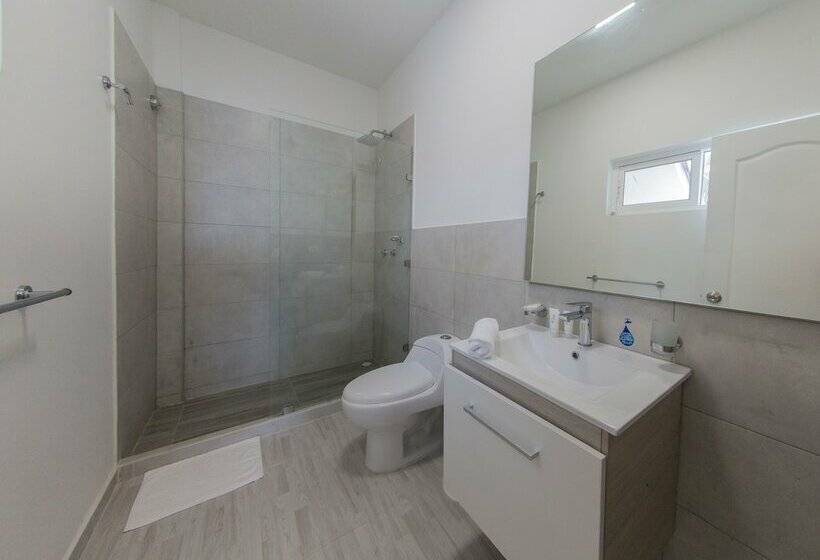 スタンダードルーム, Koray