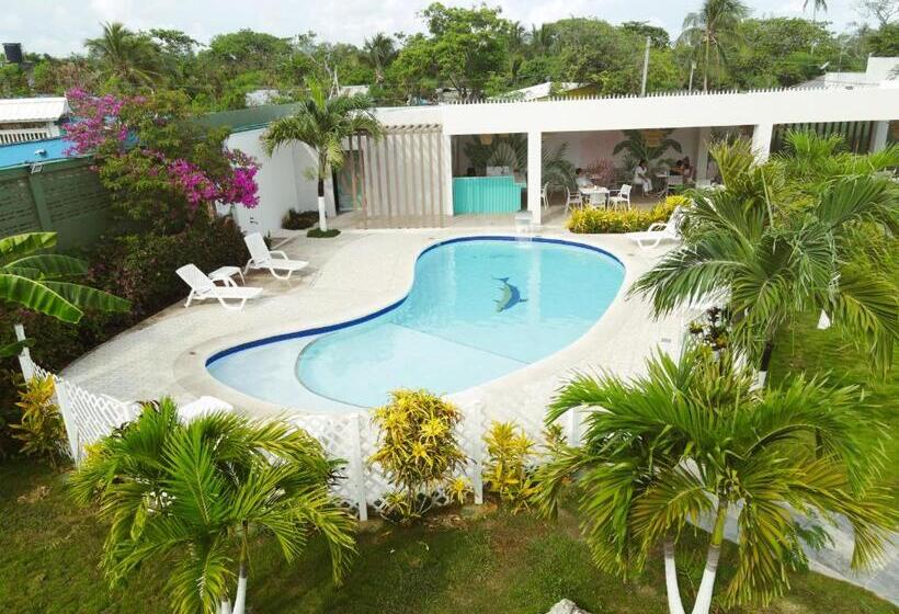 スタンダードルーム, Koray