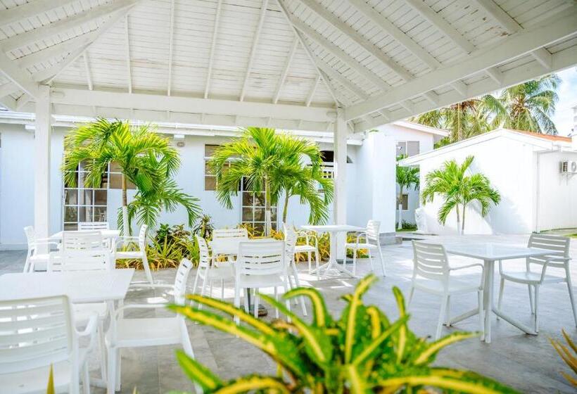 スタンダードルーム, Koray