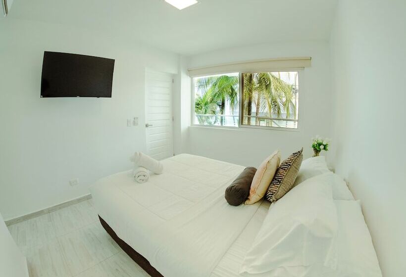 スタンダードルーム, Koray