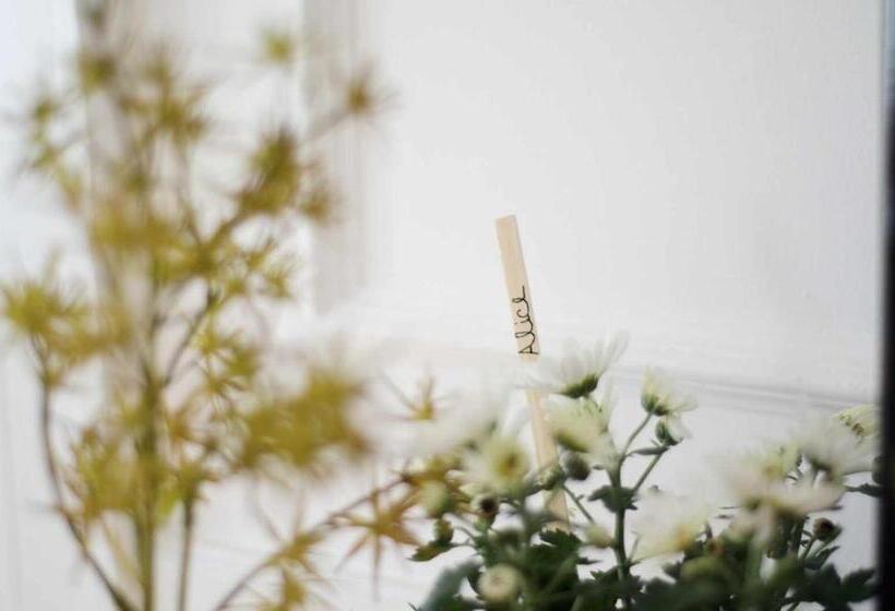 اتاق خانوادگی, Patinha Inn