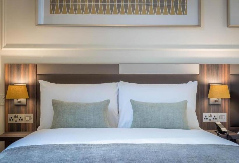 标准间, 7, Dublin City Centre