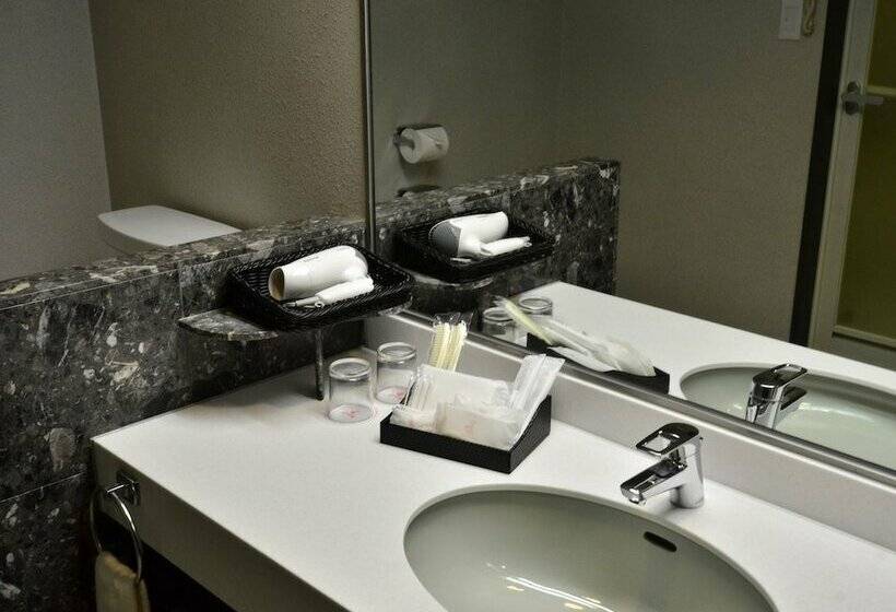 חדר סטנדרט, Tanegashima Iwasaki