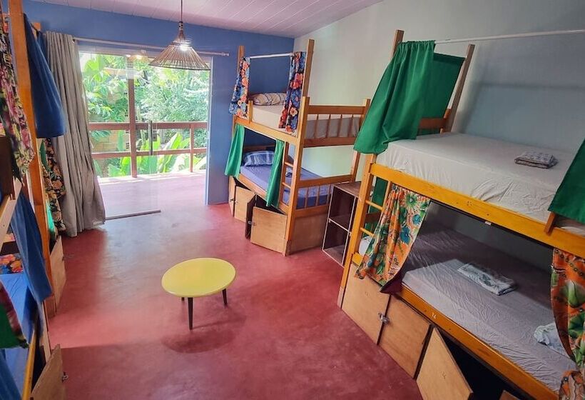 Кровать в Общей Комнате, Farofa Loca Hostel