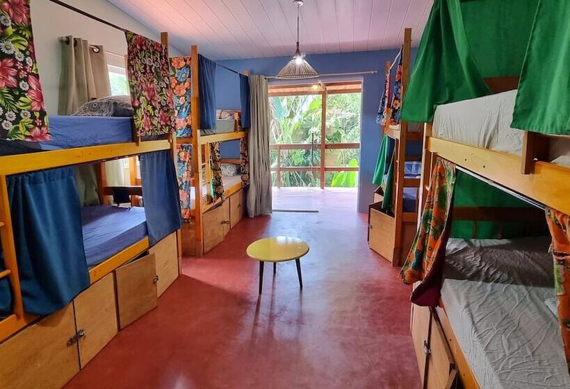 Кровать в Общей Комнате, Farofa Loca Hostel