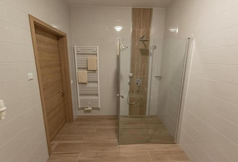 Номер Стандарт Адаптированный для Инвалидов, Stadthotel Donauwörth