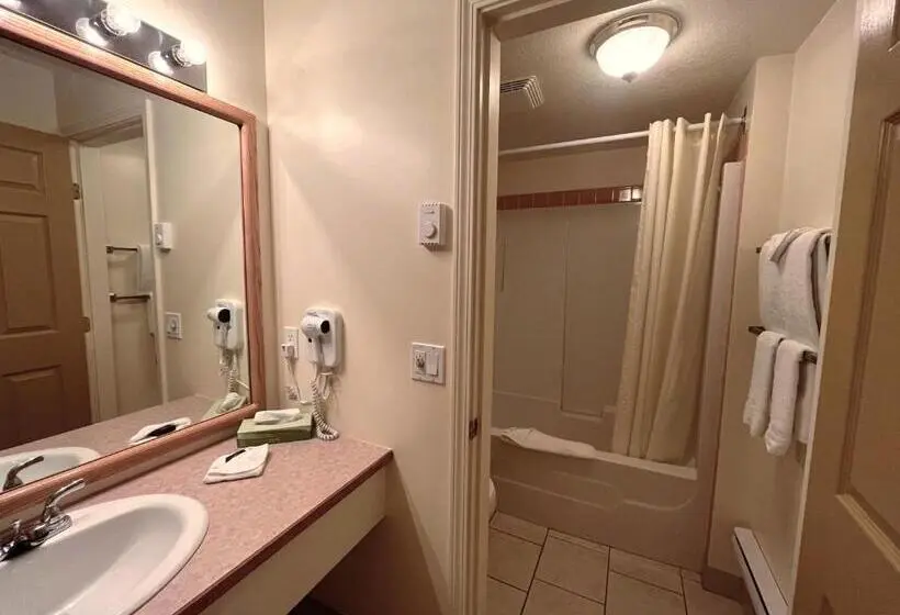 キングサイズベッドのスタンダードルーム, Western Budget Motel #1 & 2 Whitecourt