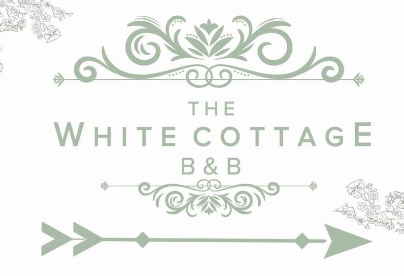 חדר סטנדרט עם מיטת קינג, White Cottage B And B