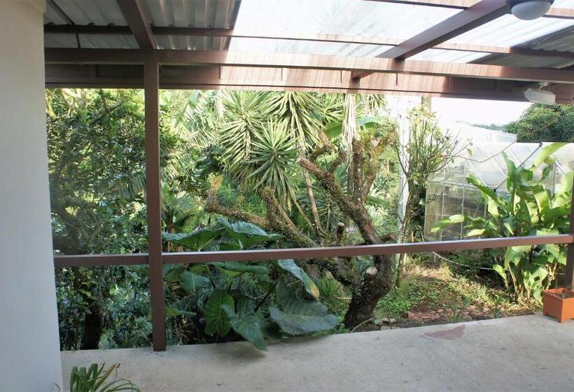 جناح سوبيريور, Casa Donna Rosa B&b