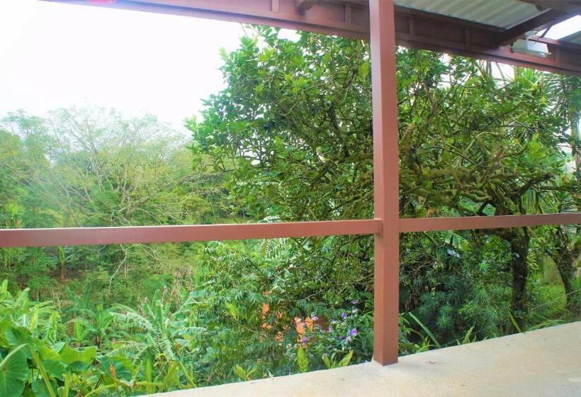 إستديو عائلى, Casa Donna Rosa B&b