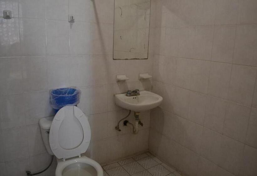 スタンダードルーム, Plaza Romo