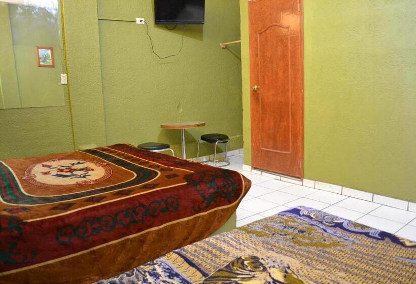 スタンダード４人部屋, Plaza Romo