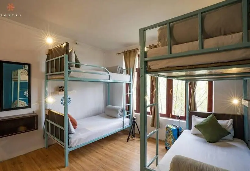 Letto in Camera Condivisa, Zostel Leh