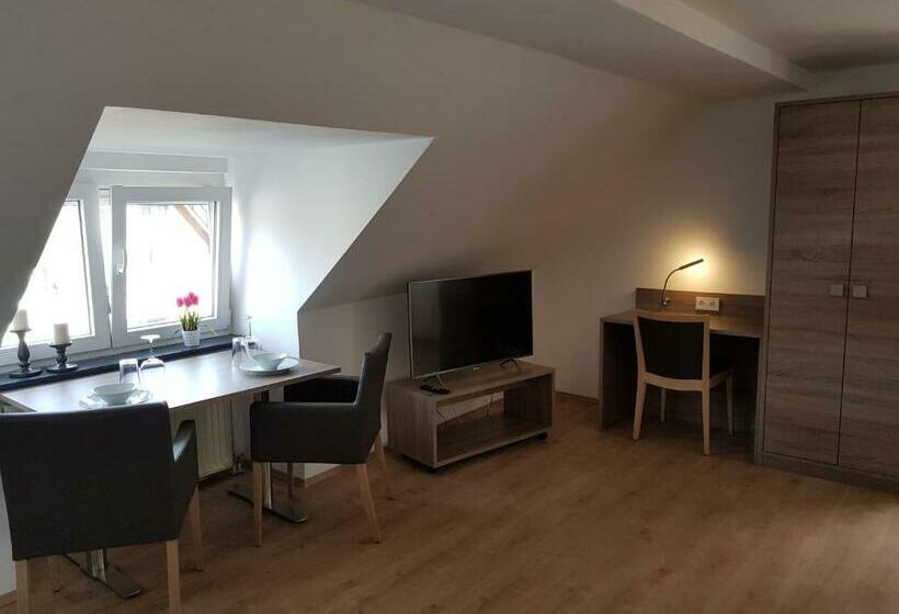 Студия Стандарт, Langhans