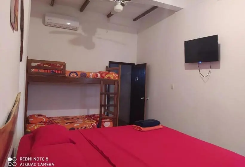 اتاق لوکس چهار تخته, Canoamar