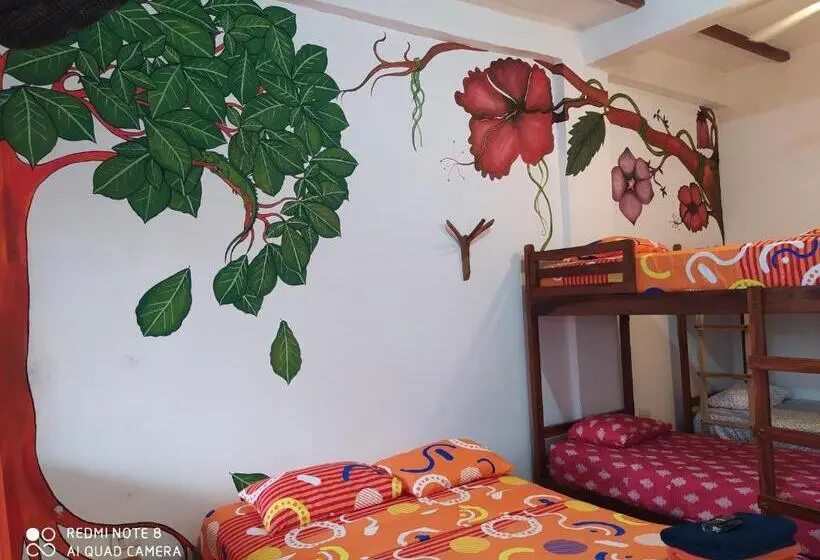 اتاق لوکس خانوادگی, Canoamar