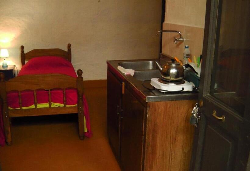 اتاق اکونومی, Panambi